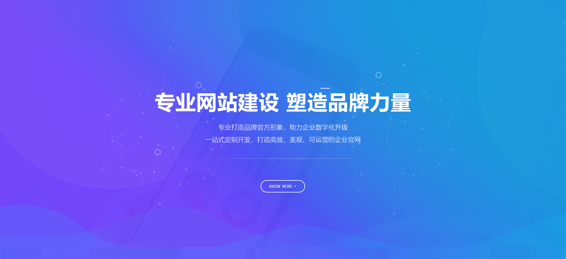 波密建站-专业网站建设 塑造品牌力量